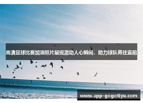 高清足球比赛加油照片展现激动人心瞬间，助力球队勇往直前