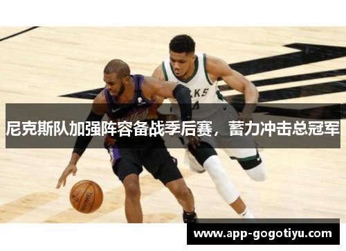 尼克斯队加强阵容备战季后赛，蓄力冲击总冠军