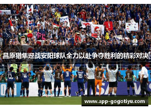 昌原猎隼迎战安阳球队全力以赴争夺胜利的精彩对决