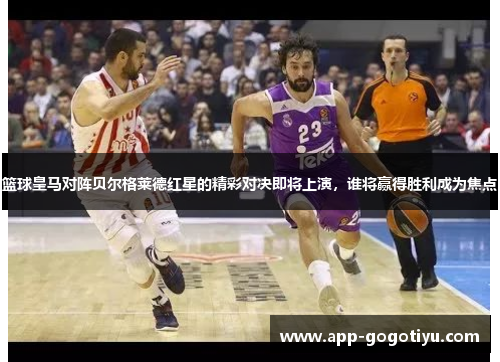 篮球皇马对阵贝尔格莱德红星的精彩对决即将上演，谁将赢得胜利成为焦点